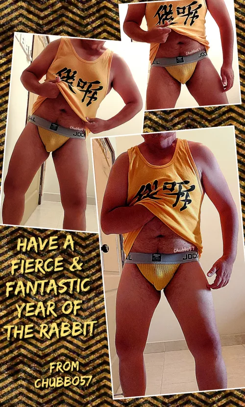 Kink: Pouching Jockstrap, Hidden Dadbod. Happy 15th & final day of the Lunar celebrations for 2023! 👲🎆🐰🍜🎍