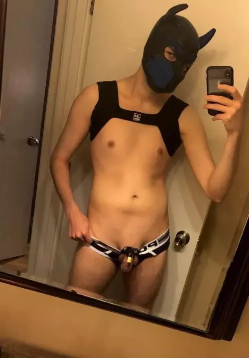 Locked up like a good boy 🔒🐾