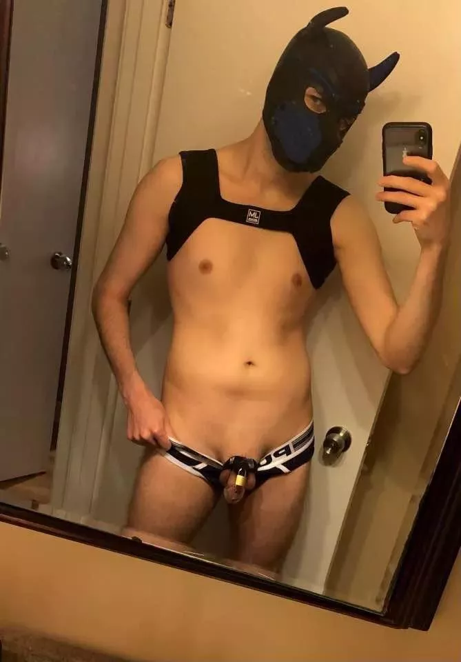 Locked up like a good boy 🔒🐾