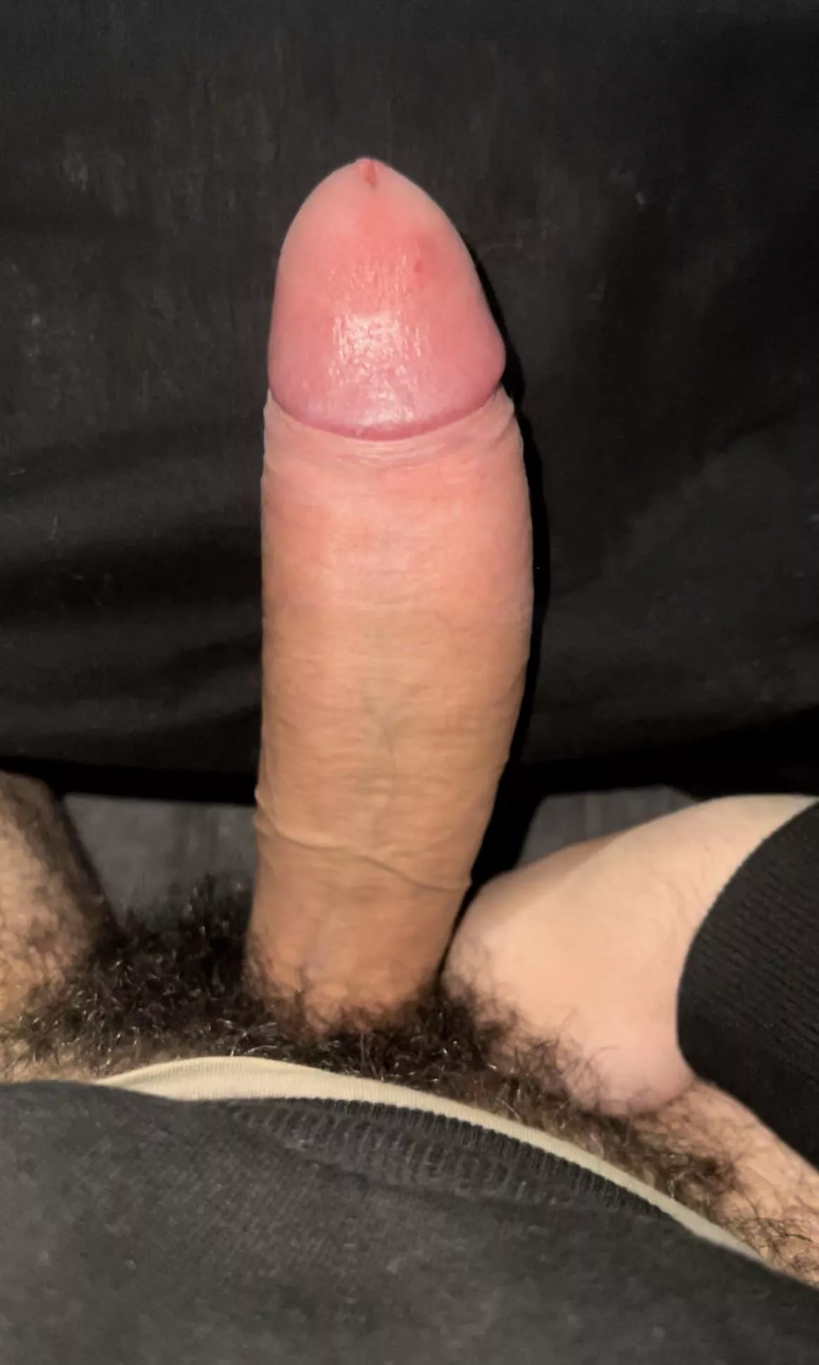 Look at my big, heavy cock🍆💦