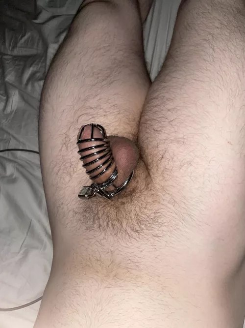 M20 - Gf has me caged now going on 2nd week only removed with supervised cleaning. How does the fit look it’s my first cage?