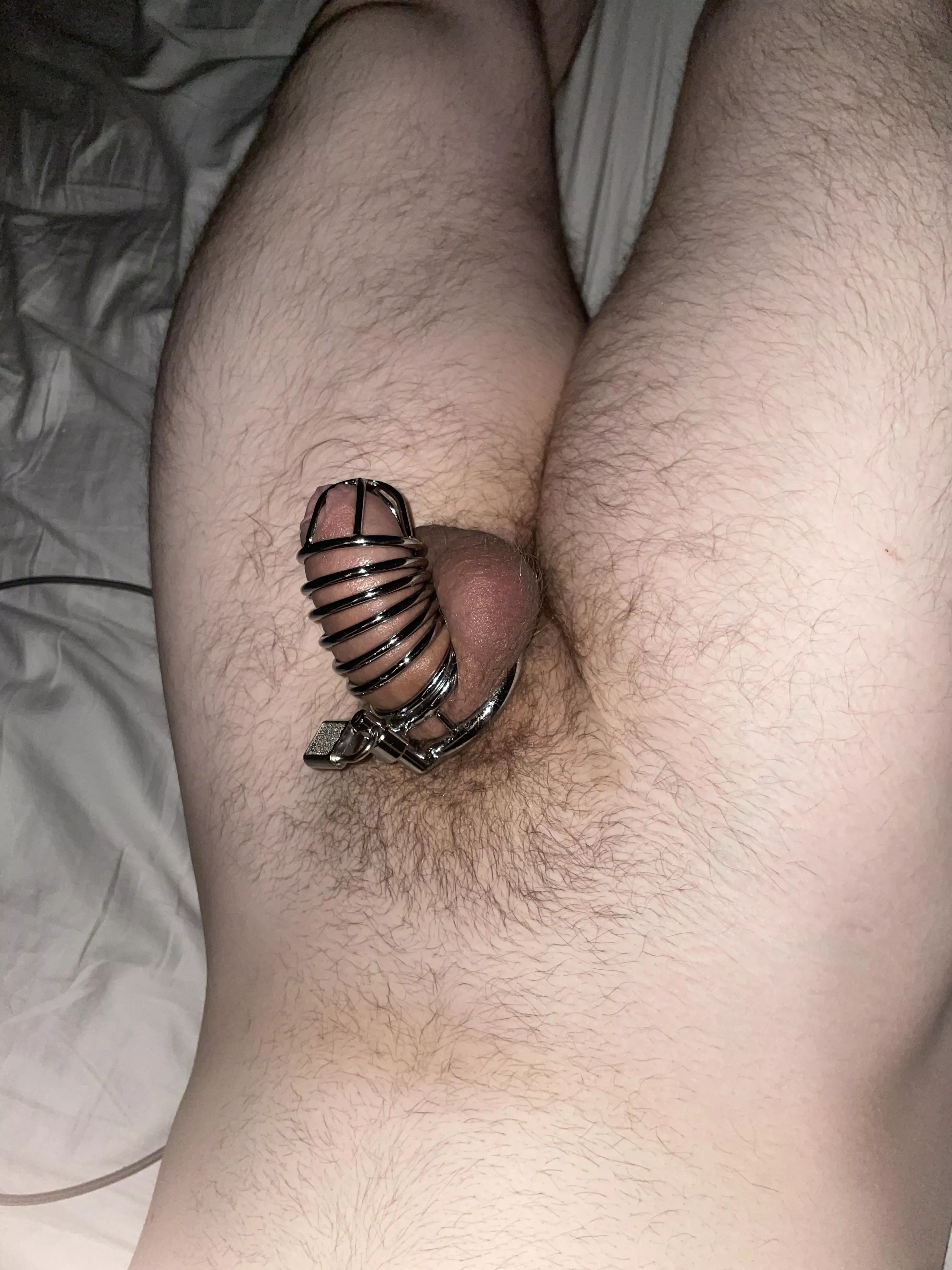 M20 - Gf has me caged now going on 2nd week only removed with supervised cleaning. How does the fit look it’s my first cage?