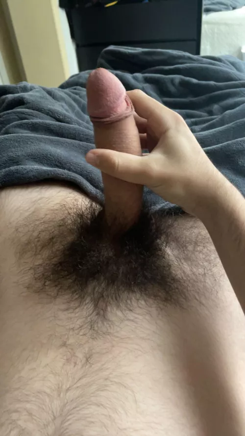Morning wood (20)