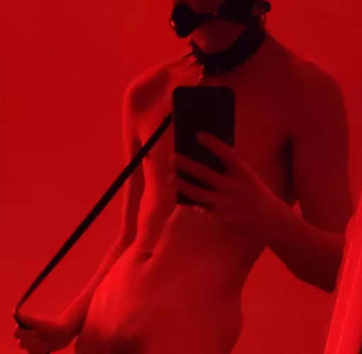 My mistress allowed me to post I'm so happy 🐶