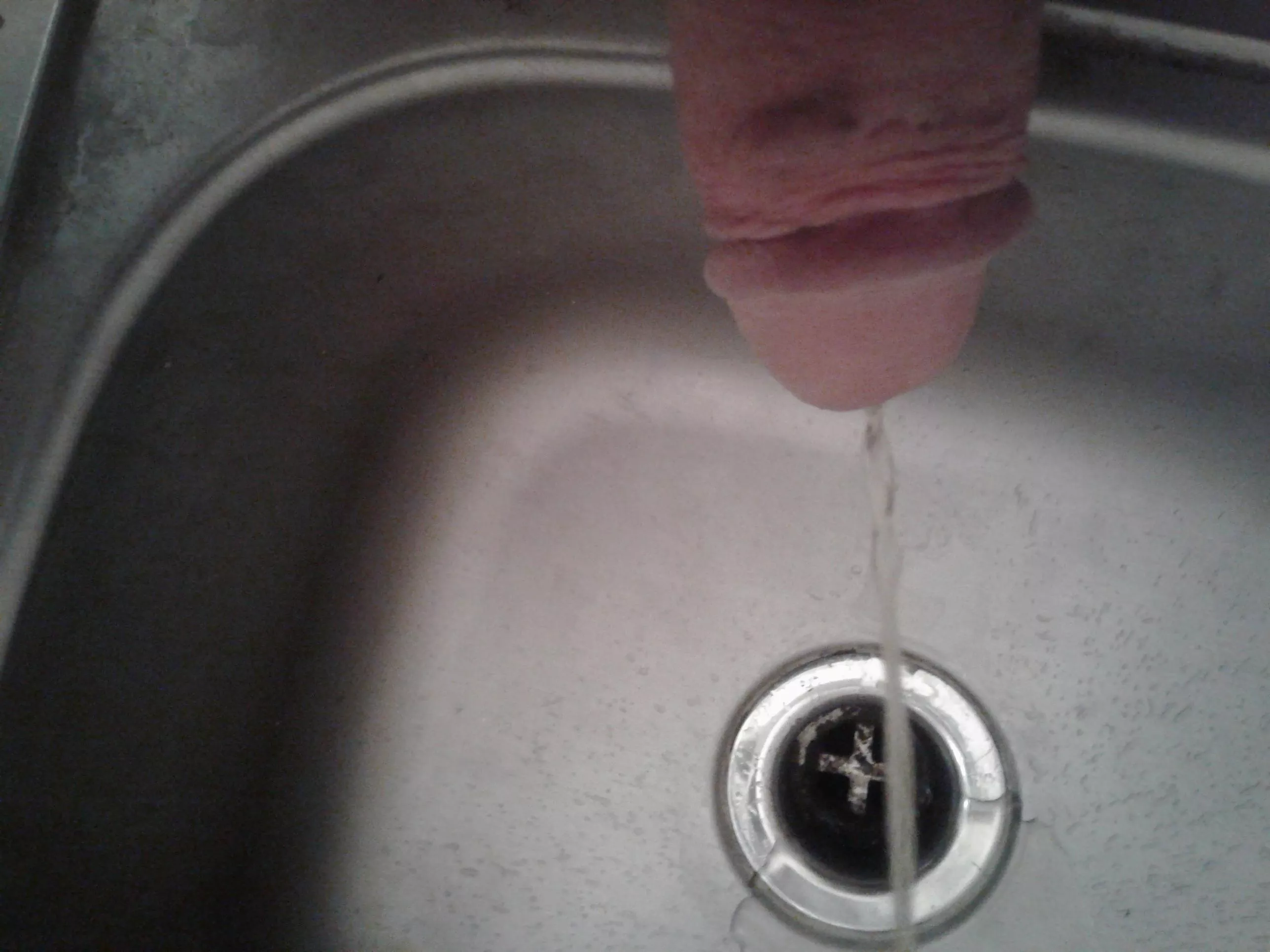 pissing in sink