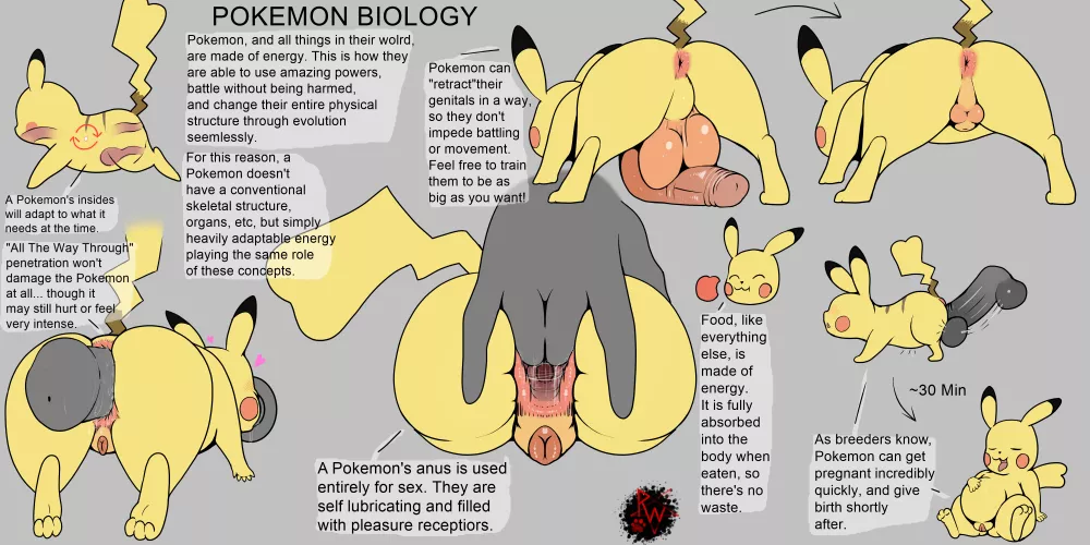 Pokemon Biology (rapistwerewolf)