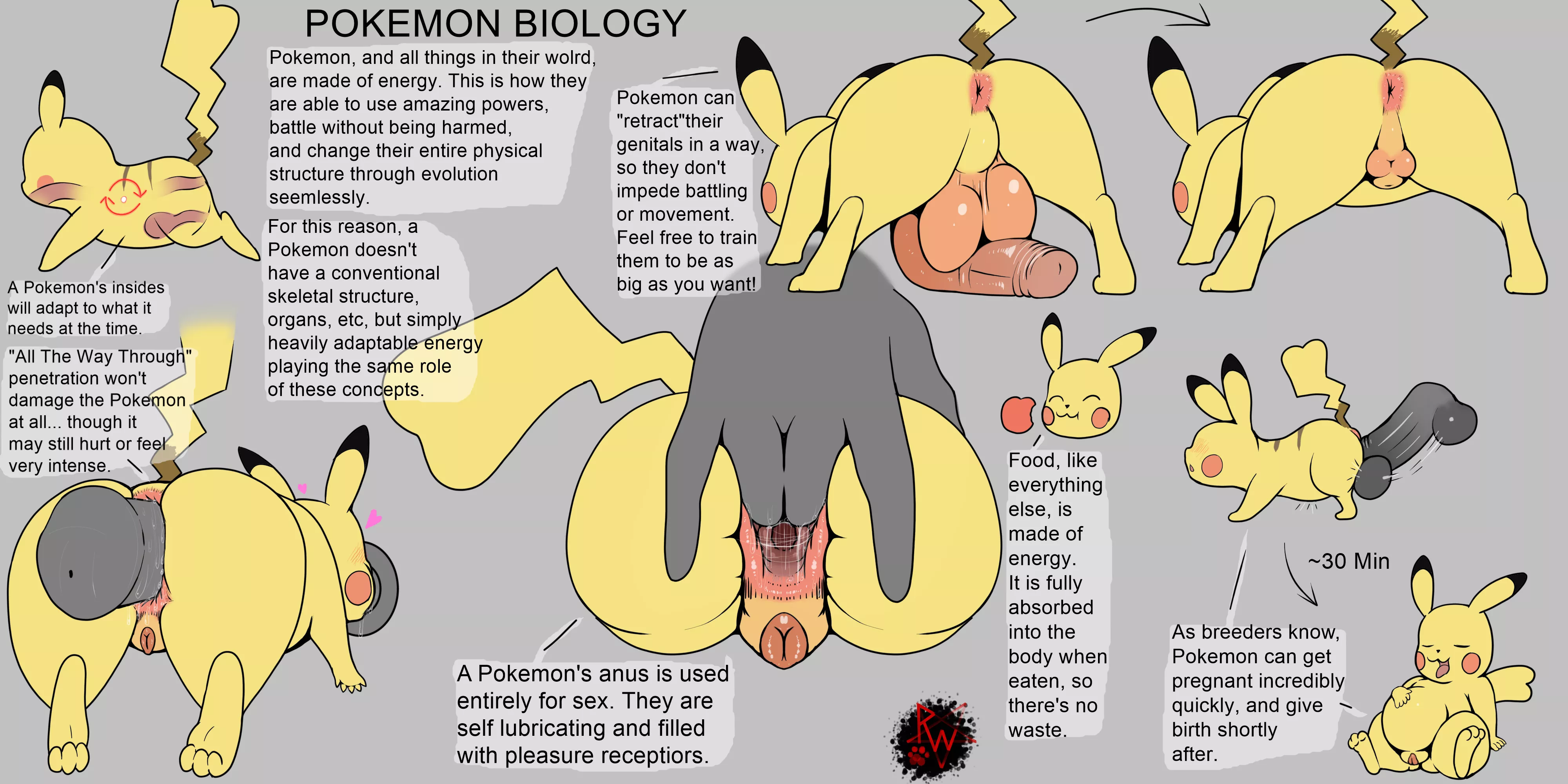Pokemon Biology (rapistwerewolf)