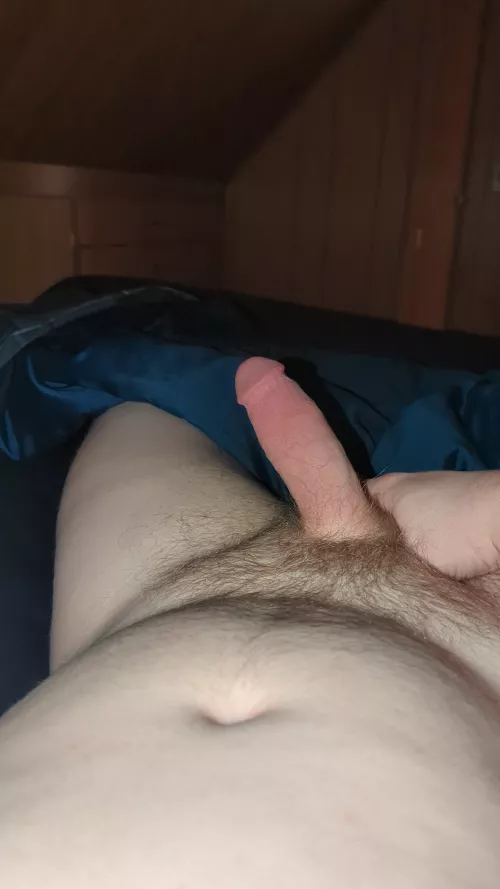 rate my morning wood.