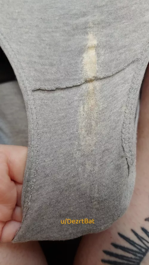 [selling] Layers of cum and daily wetness dried on my road trip panties. 2 more days to go!