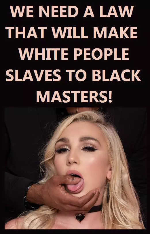 Serving BBC should be law