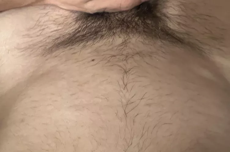 Should i shave/trim or leave it?