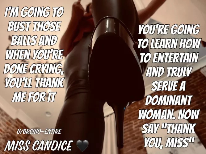 Thank me through the tears