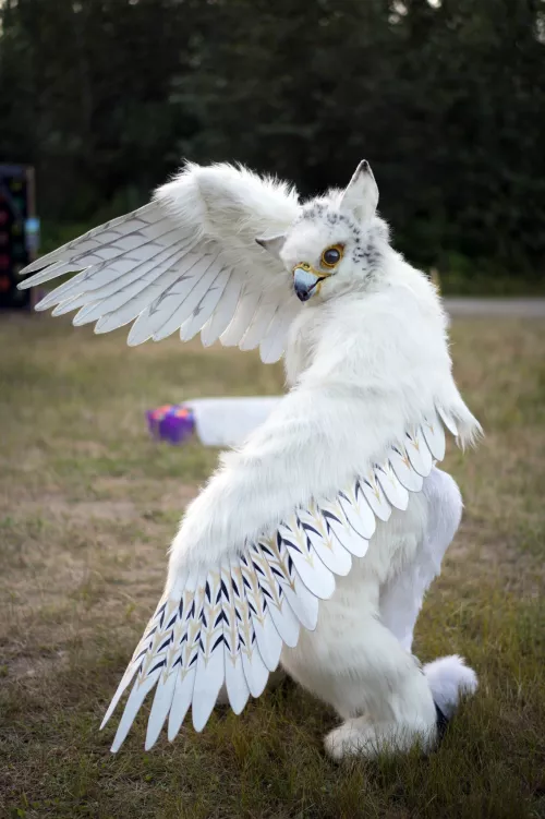 The precious @Sora_gryphon on Twitter