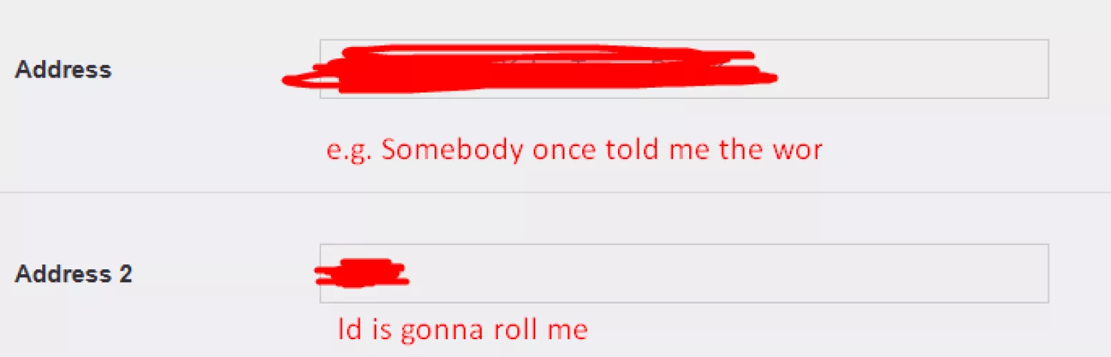 Tried to fill in the address but the info in Address 1 bleeds into Address 2, cause may be due to my address being long. Example is in the image on how it happened. Does anyone have a fix for this?