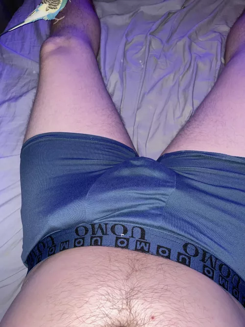 Wanting to break free