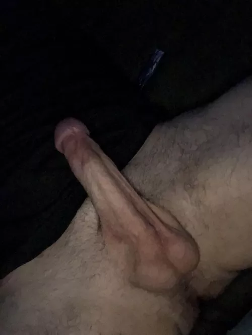 What do y’all think?