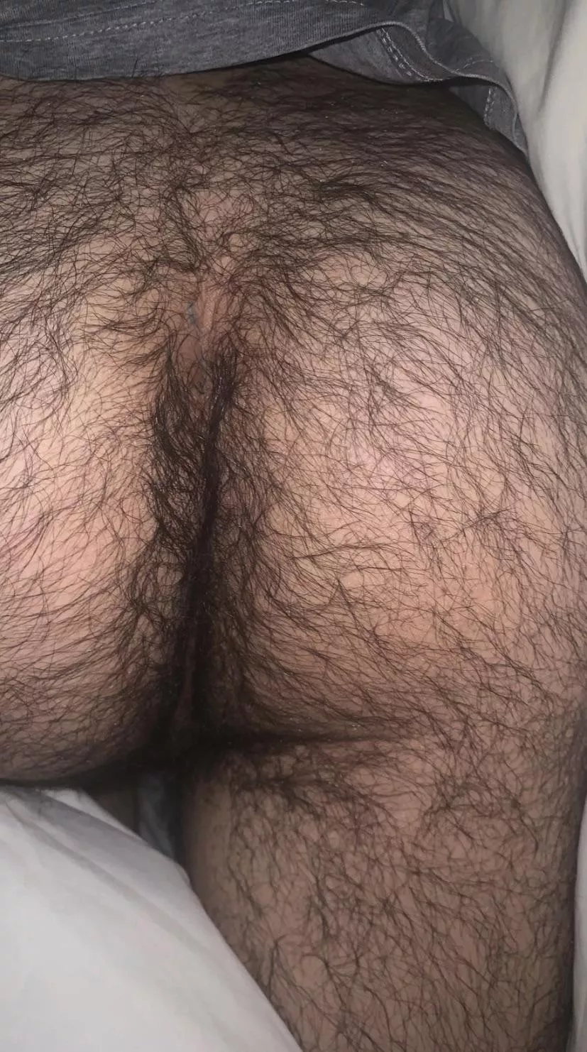 Where do you start? 🌳