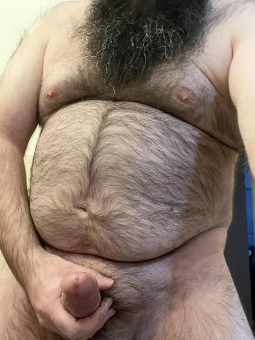 Who likes a hairy bear?
