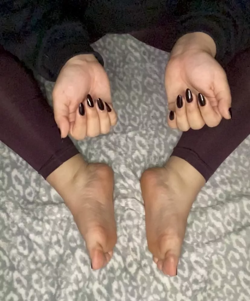 Would you like to see more?