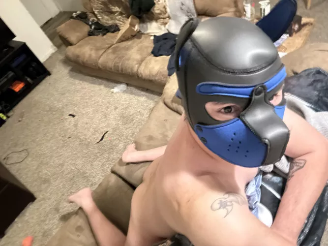 29 - cock hungry pup ready for a thick alpha cock