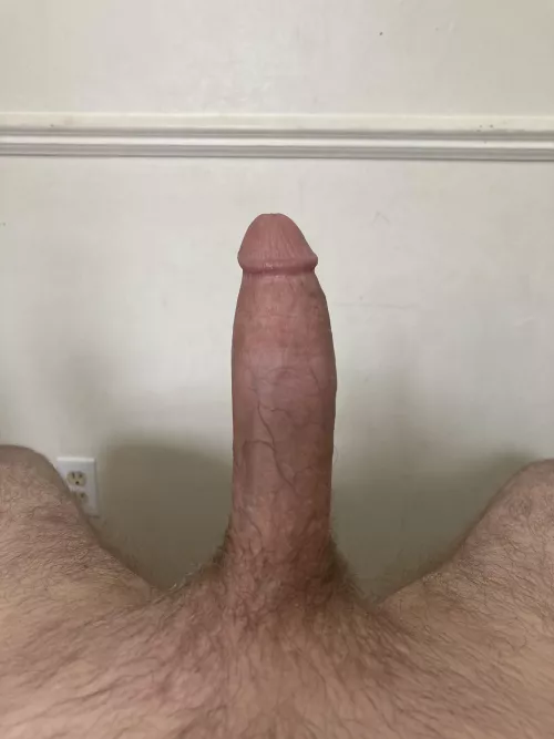 29 dms open
