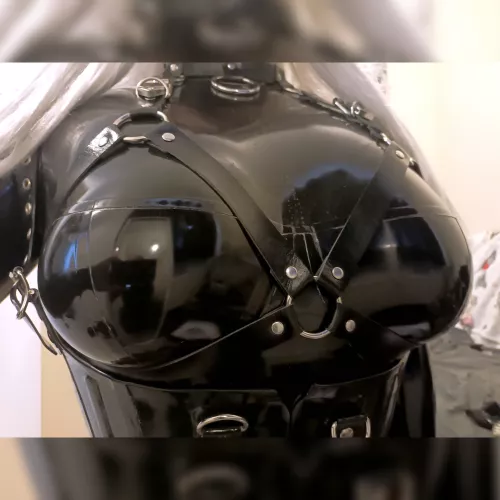 All tressed up and nowhere to go..