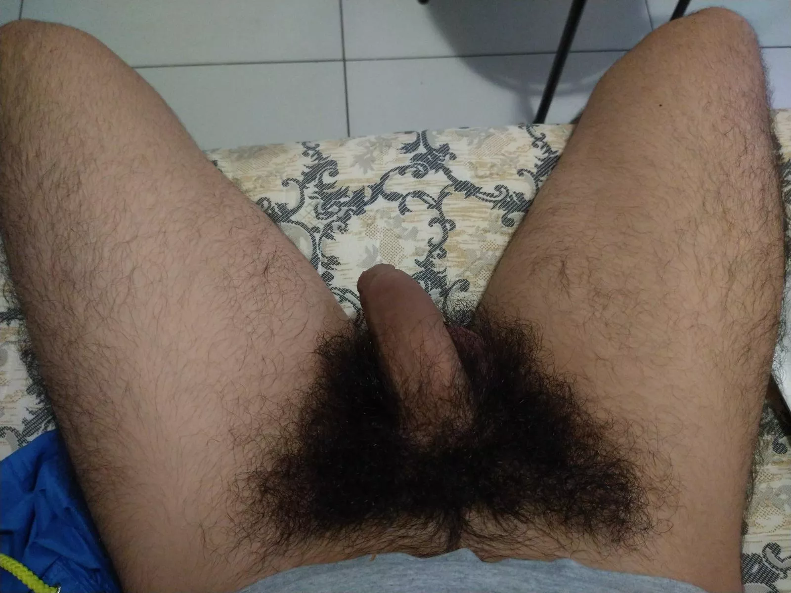 Any forest lovers? 🌿🍆🌿