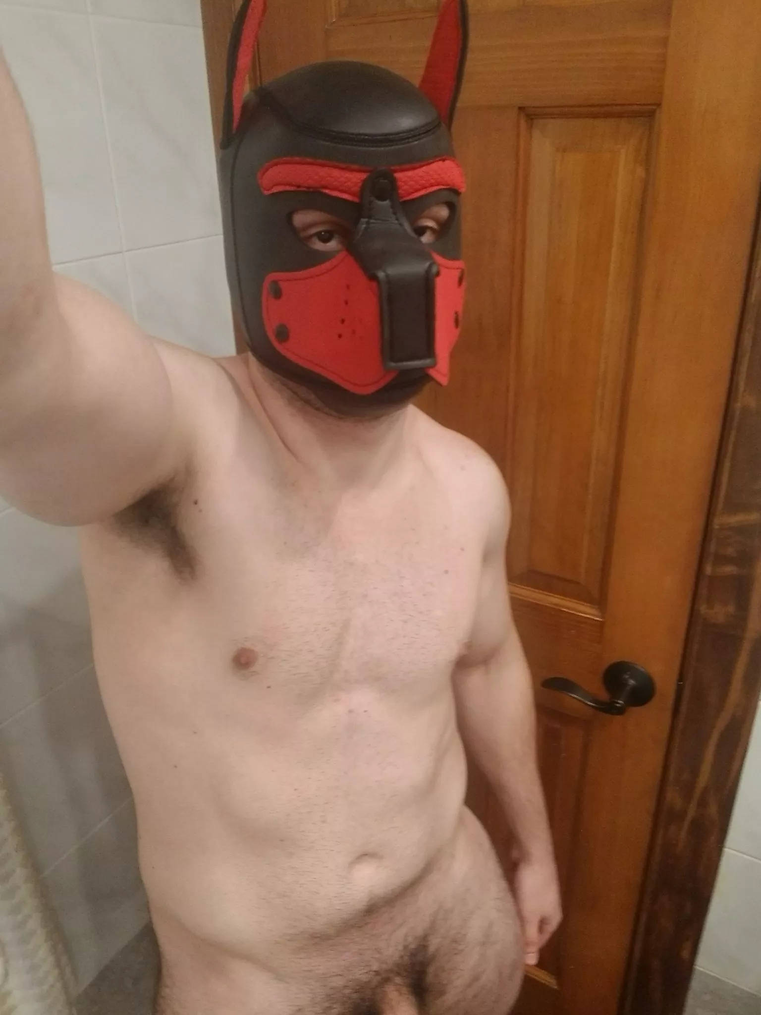 Any NY Pups here 🐺 (Twitter: FrostyNightAD)