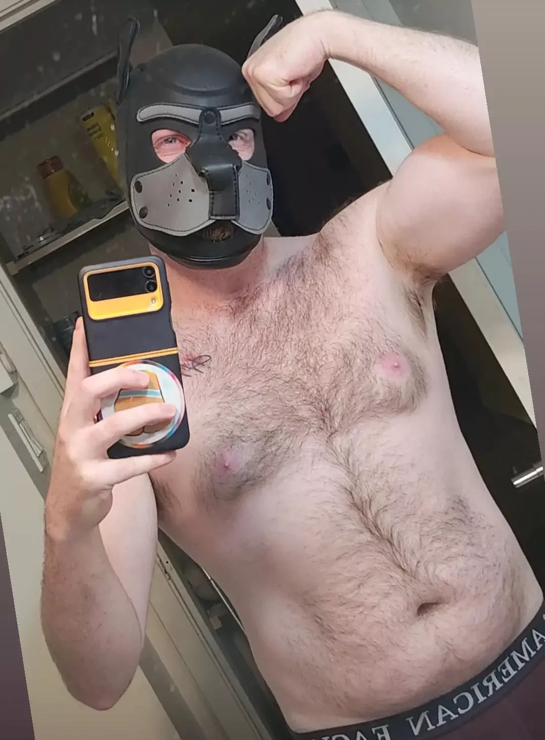 arf arf , come pet the puppy