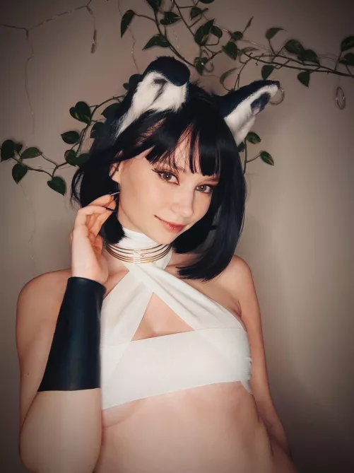 Do I make a good cat? 😇