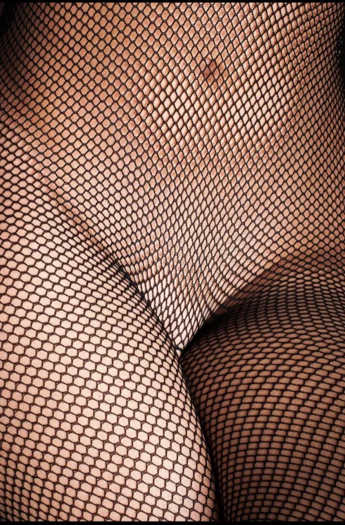 Fishnet