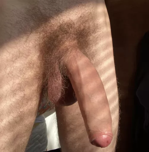 Hairy, hung & uncut 💦