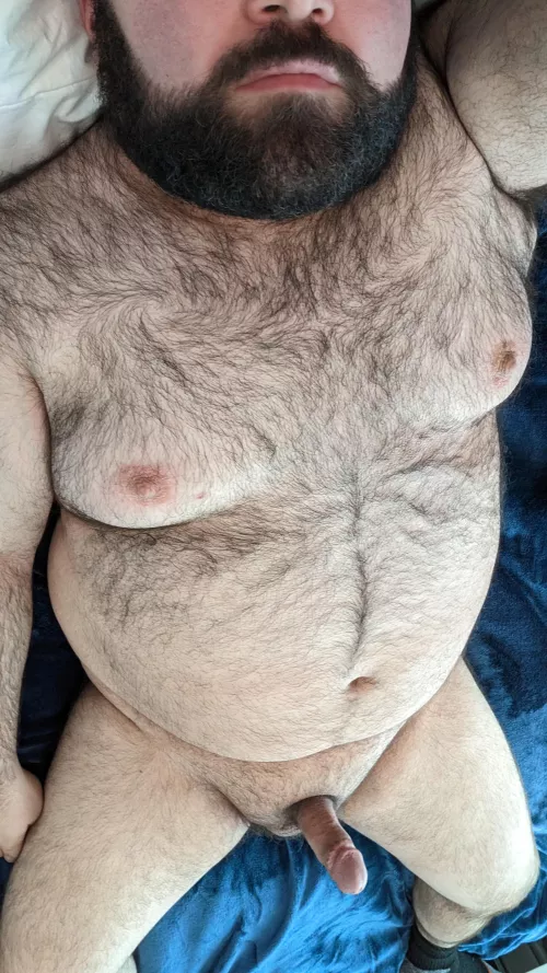 I am going to lay here, feel free to touch.