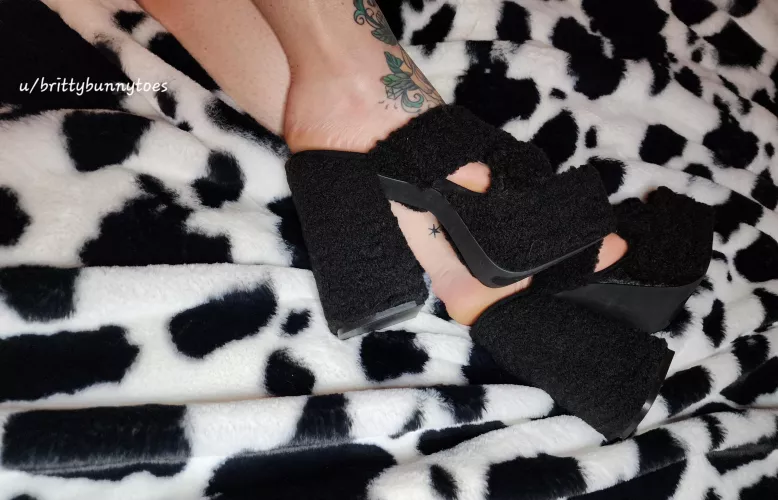 I love my new fuzzy heels 💖🐰💖