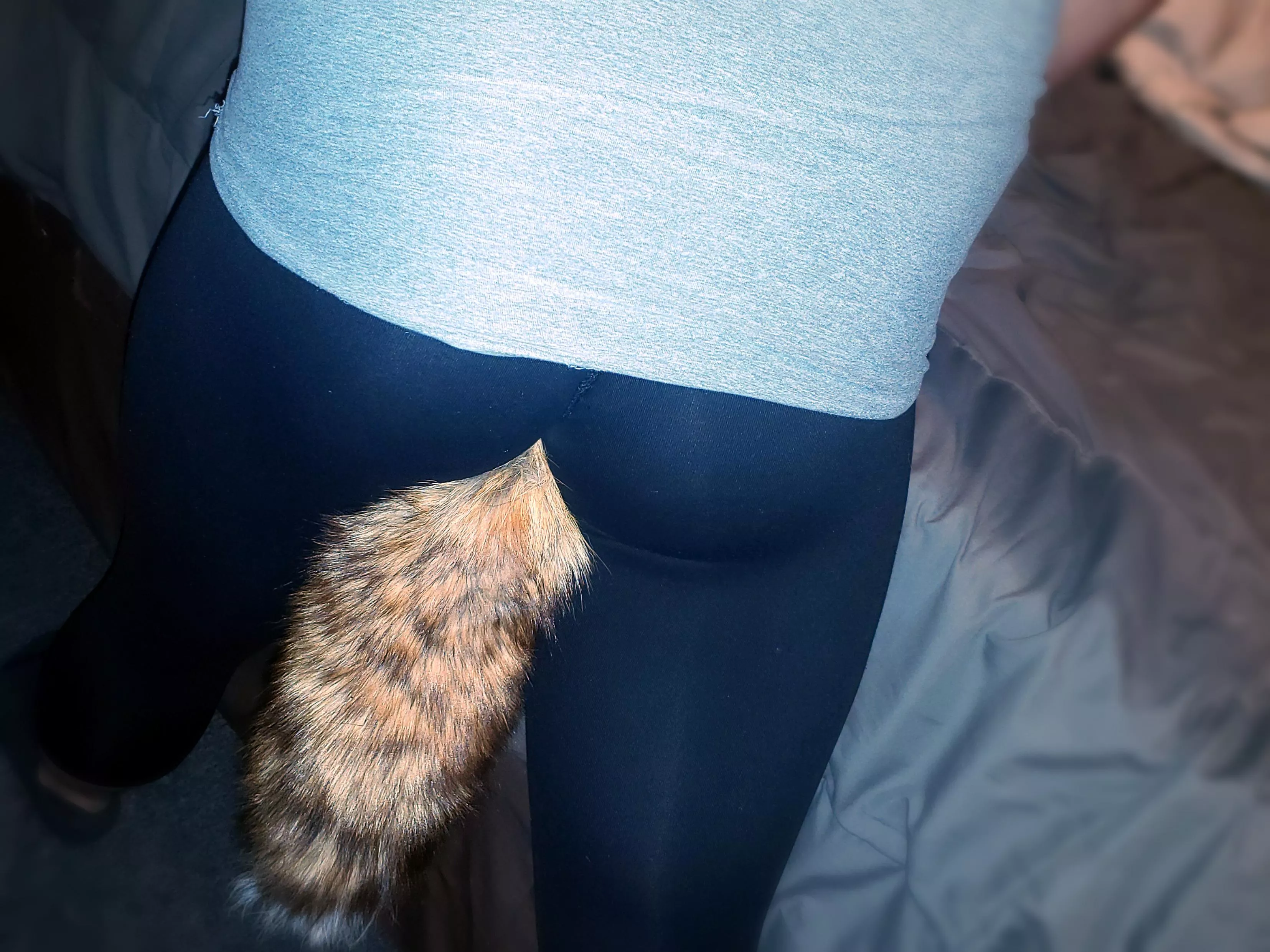 I love my new tail ❤️