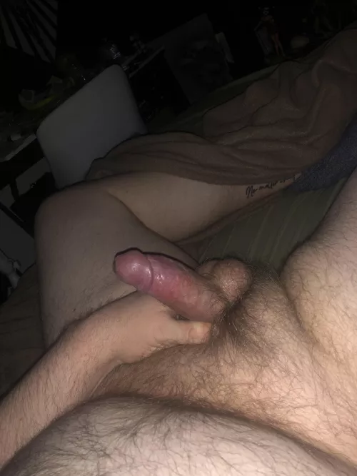 I should be studying