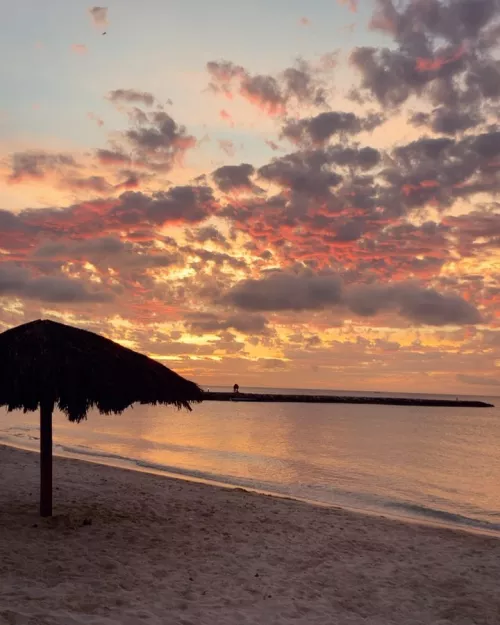 “It doesn’t matter where you go in life, as long as you go to the beach.”