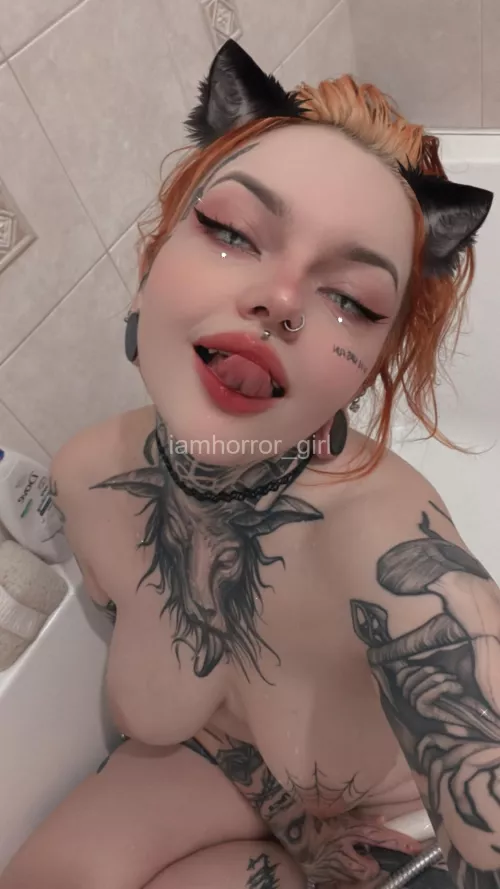 I've been a good little kitty. Is it time for play?