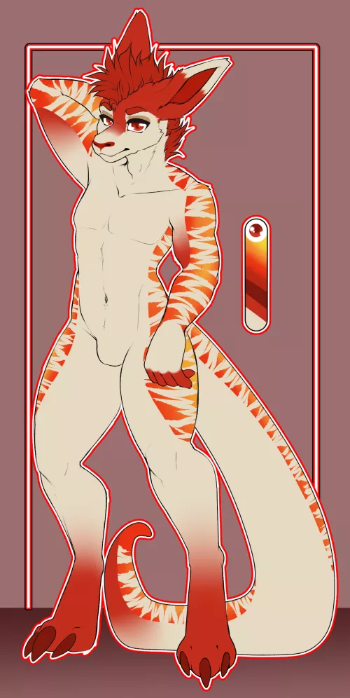 Kangaroo Character design