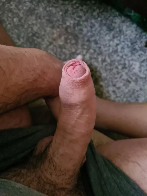 Morning wood hits different