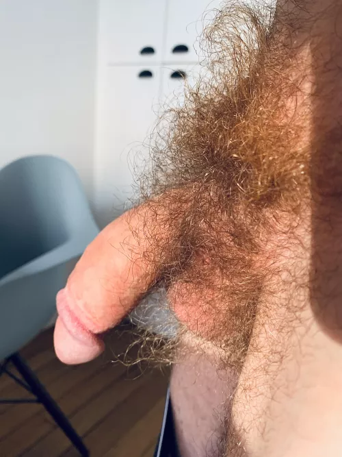 My pubic mane 🦁