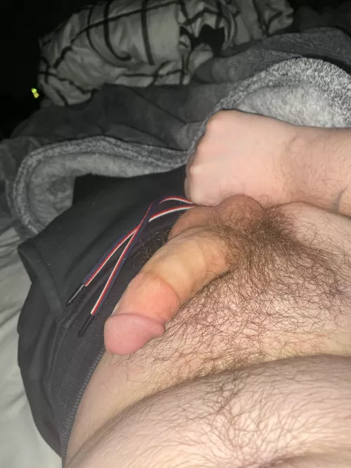 My softy (M19)