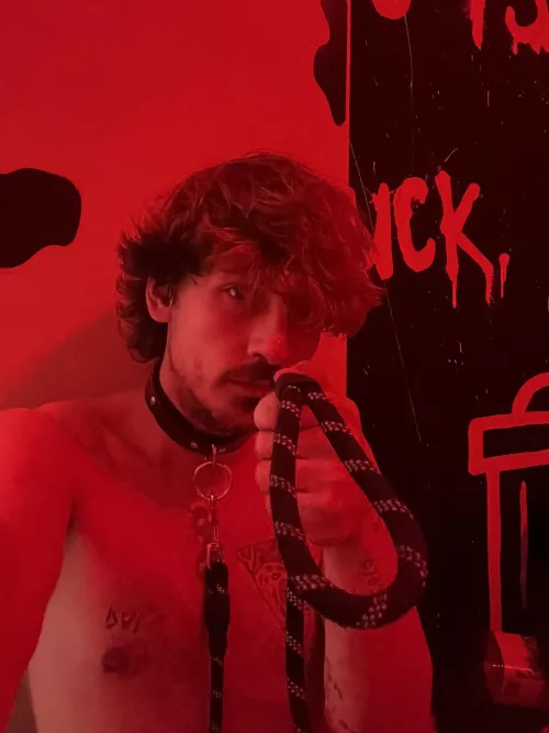 (Oc) let me be your little pet 👅