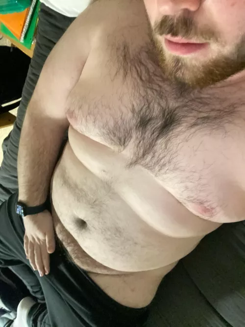 This college bear is horny! Wanna help? DM me