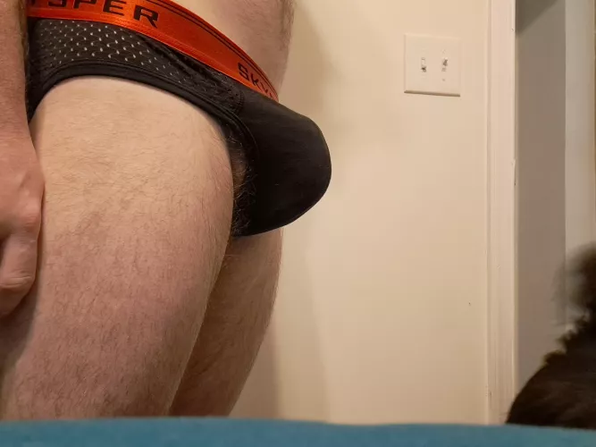 this is why I love wearing my jock strap. what do you think?