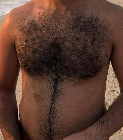 Wet hairy chest, Dm open for fun..