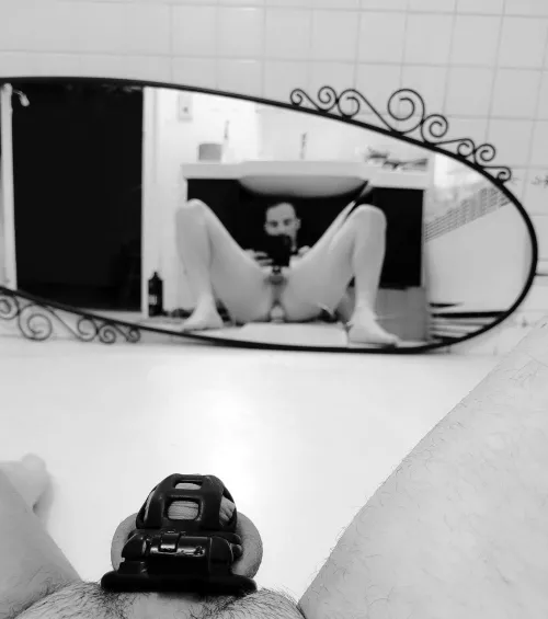 What do you like about this picture?