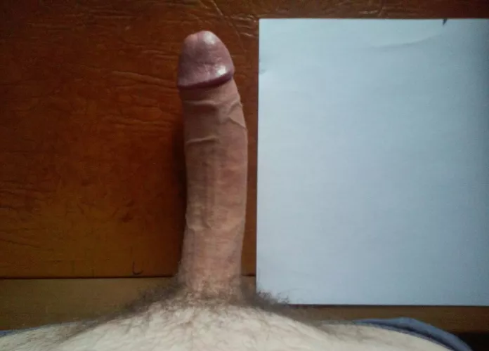 What I bring to the table, literally (also A4 comparison)