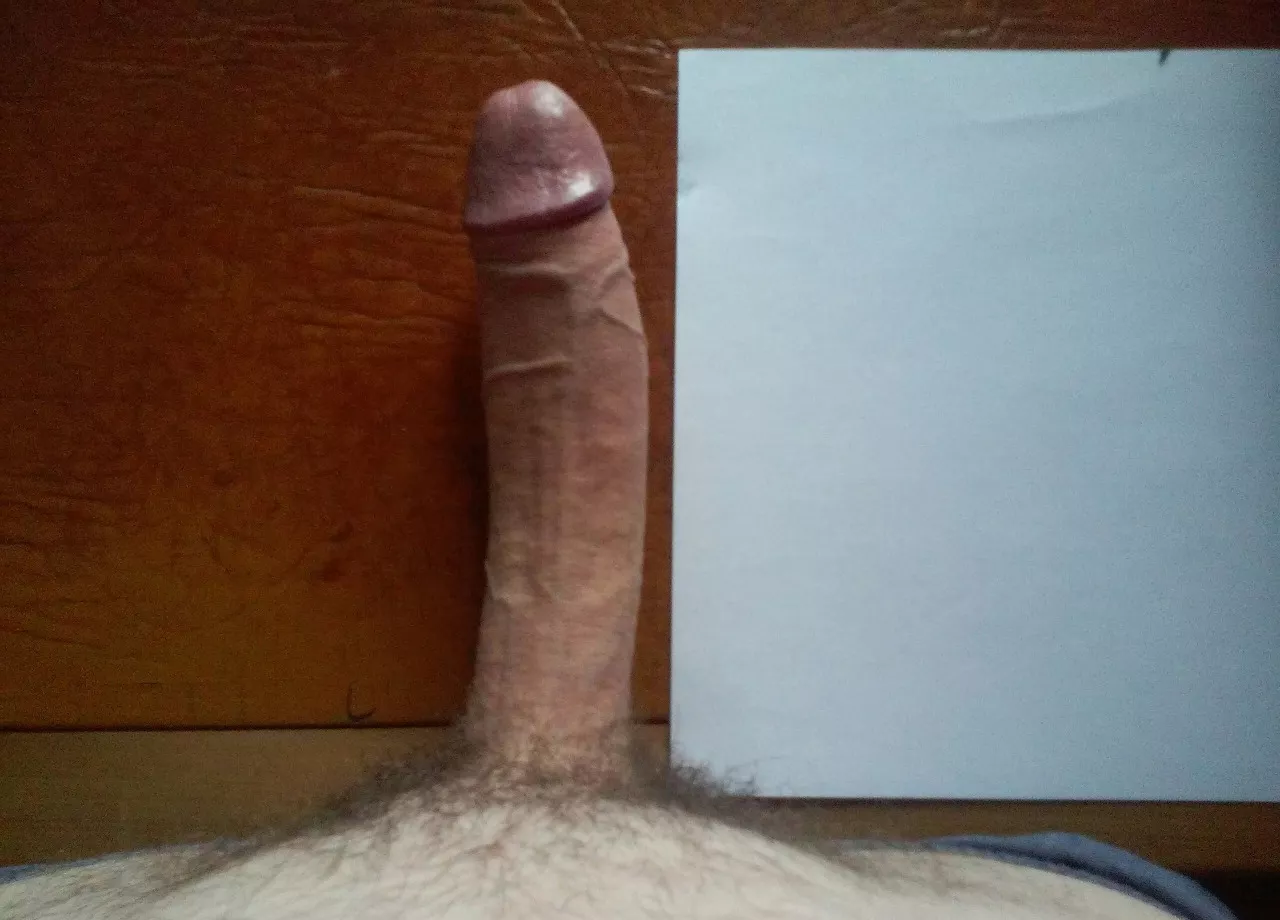 What I bring to the table, literally (also A4 comparison)