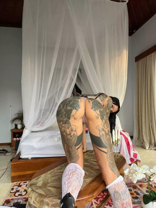 What is the meaning of pawg?